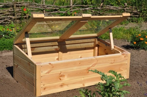 Royal Well Broeikas Strawberry Queen 2 Royal Well Broeikas Strawberry Queen - Afbeelding 2