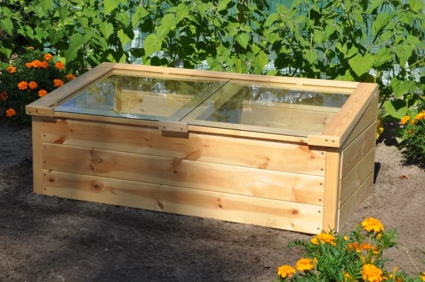 Royal Well Broeikas Strawberry Queen 3 Royal Well Broeikas Strawberry Queen - Afbeelding 3