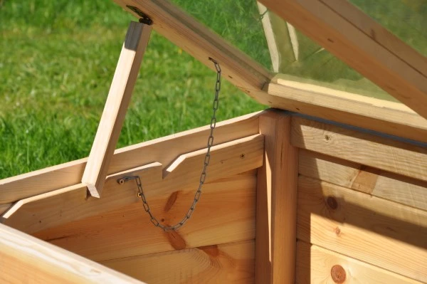 Royal Well Broeikas Strawberry Queen 9 Royal Well Broeikas Strawberry Queen - Afbeelding 9