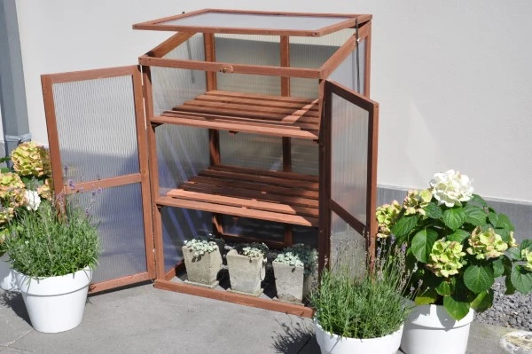 Royal Well Patiokas Rosemary's Choice 5 Royal Well Patiokas Rosemary's Choice - Afbeelding 5