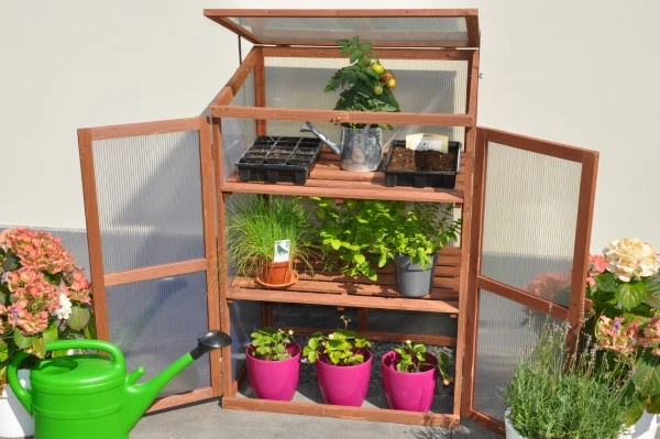 Royal Well Patiokas Rosemary's Choice 7 Royal Well Patiokas Rosemary's Choice - Afbeelding 7