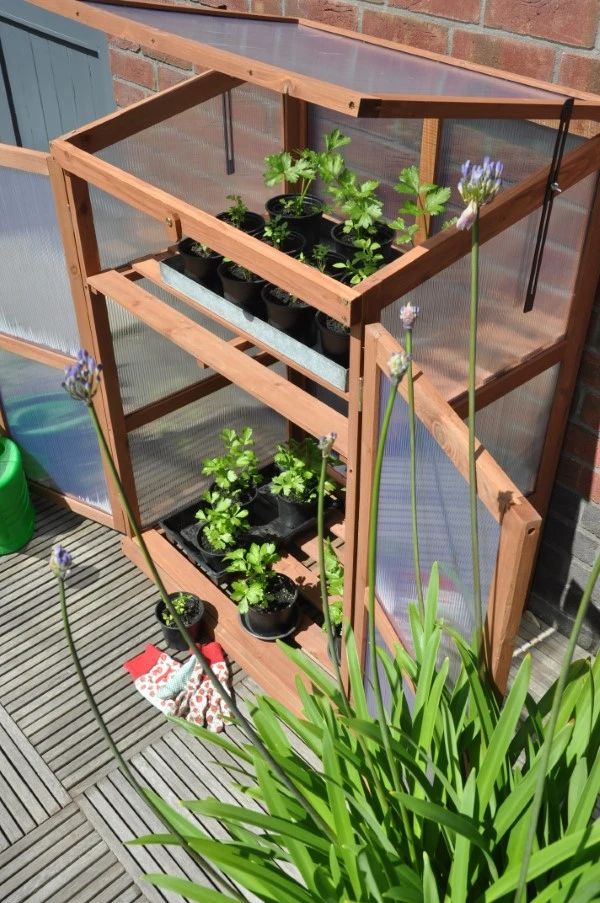 Royal Well Patiokas Rosemary's Choice 8 Royal Well Patiokas Rosemary's Choice - Afbeelding 8