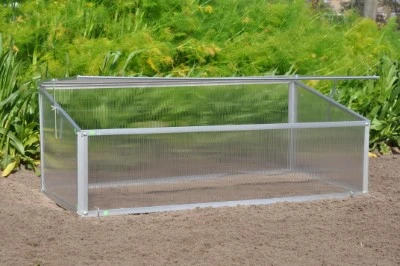 Royal Well Broeikas Viola 2 Royal Well Broeikas Viola - Afbeelding 2