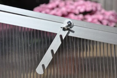 Royal Well Broeikas Viola 10 Royal Well Broeikas Viola - Afbeelding 10