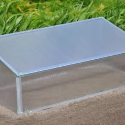 Royal Well Broeikas Viola 31 Royal Well Broeikas Viola -Bijzondere Tuin Verkoop 8718226338075 16 Aangepast