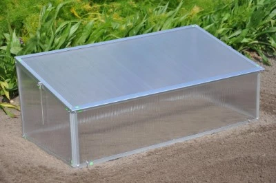 Royal Well Broeikas Viola 16 Royal Well Broeikas Viola - Afbeelding 16