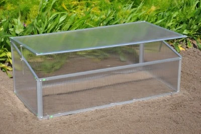 Royal Well Broeikas Viola 3 Royal Well Broeikas Viola - Afbeelding 3