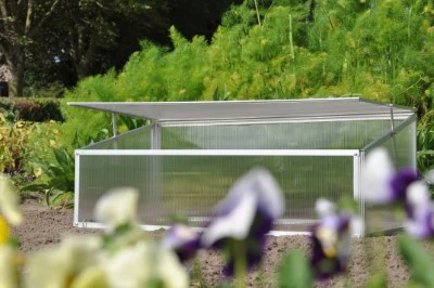 Royal Well Broeikas Viola 1 Royal Well Broeikas Viola