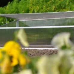 Royal Well Broeikas Viola 19 Royal Well Broeikas Viola -Bijzondere Tuin Verkoop 8718226338075 4 Aangepast