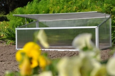 Royal Well Broeikas Viola 4 Royal Well Broeikas Viola - Afbeelding 4