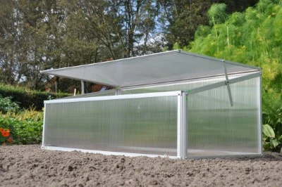 Royal Well Broeikas Viola 5 Royal Well Broeikas Viola - Afbeelding 5