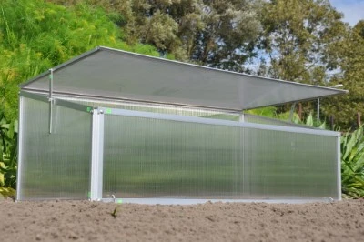 Royal Well Broeikas Viola 6 Royal Well Broeikas Viola - Afbeelding 6