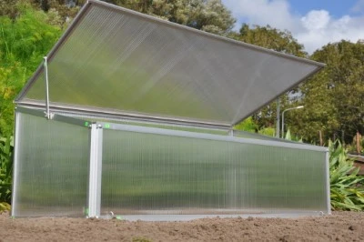 Royal Well Broeikas Viola 7 Royal Well Broeikas Viola - Afbeelding 7