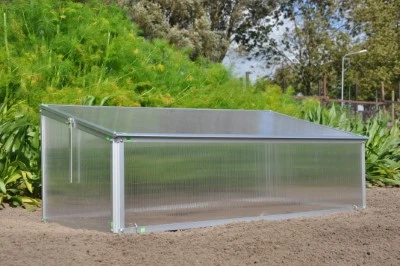 Royal Well Broeikas Viola 8 Royal Well Broeikas Viola - Afbeelding 8