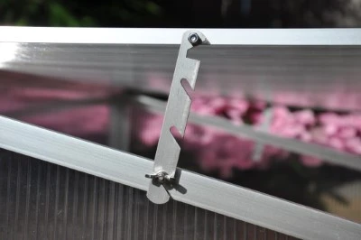 Royal Well Broeikas Viola 9 Royal Well Broeikas Viola - Afbeelding 9