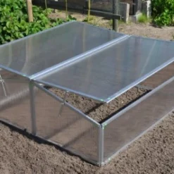 Royal Well Broeikas Silver Thyme -Bijzondere Tuin Verkoop 8718226338082 3 Aangepast