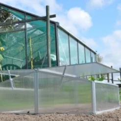 Royal Well Broeikas Silver Thyme -Bijzondere Tuin Verkoop 8718226338082 4 Aangepast