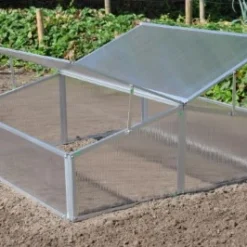 Royal Well Broeikas Silver Thyme -Bijzondere Tuin Verkoop 8718226338082 6 Aangepast