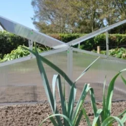 Royal Well Broeikas Silver Thyme -Bijzondere Tuin Verkoop 8718226338082 7 Aangepast