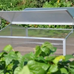 Royal Well Broeikas Silver Thyme -Bijzondere Tuin Verkoop 8718226338082 8 Aangepast