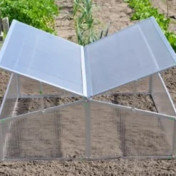 Royal Well Broeikas Silver Thyme -Bijzondere Tuin Verkoop 8718226338082 9 Aangepast