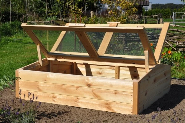 Royal Well Broeikas Chili Pepper 1 Royal Well Broeikas Chili Pepper