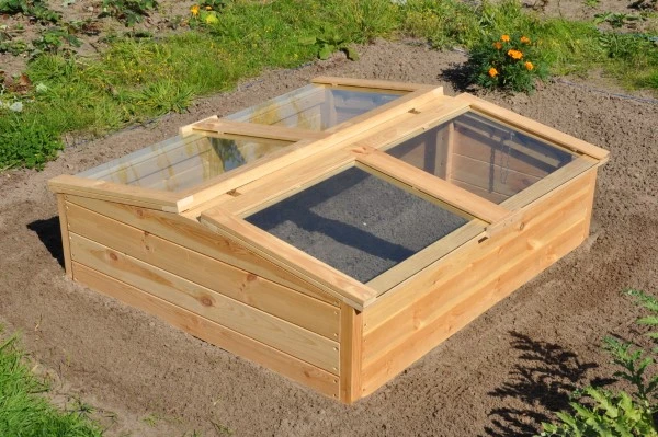 Royal Well Broeikas Chili Pepper 2 Royal Well Broeikas Chili Pepper - Afbeelding 2