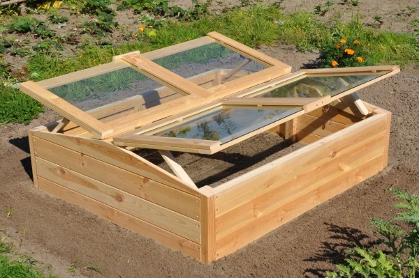 Royal Well Broeikas Chili Pepper 3 Royal Well Broeikas Chili Pepper - Afbeelding 3