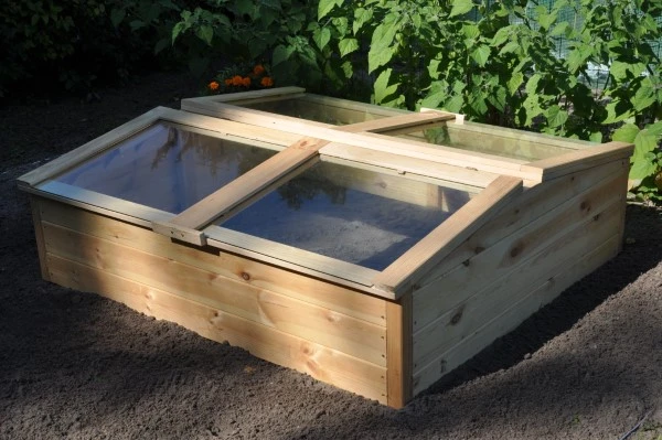 Royal Well Broeikas Chili Pepper 8 Royal Well Broeikas Chili Pepper - Afbeelding 8