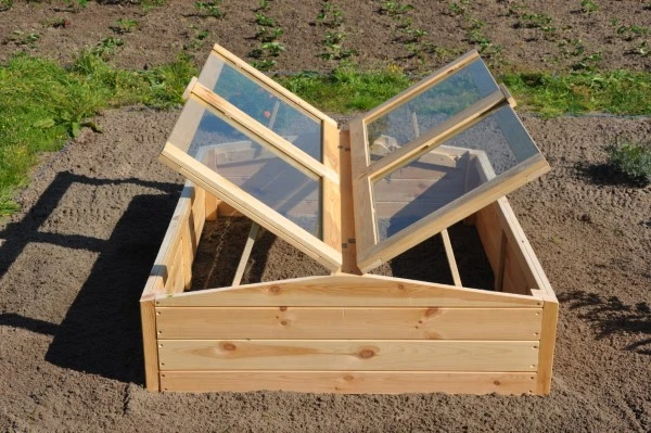 Royal Well Broeikas Chili Pepper 9 Royal Well Broeikas Chili Pepper - Afbeelding 9