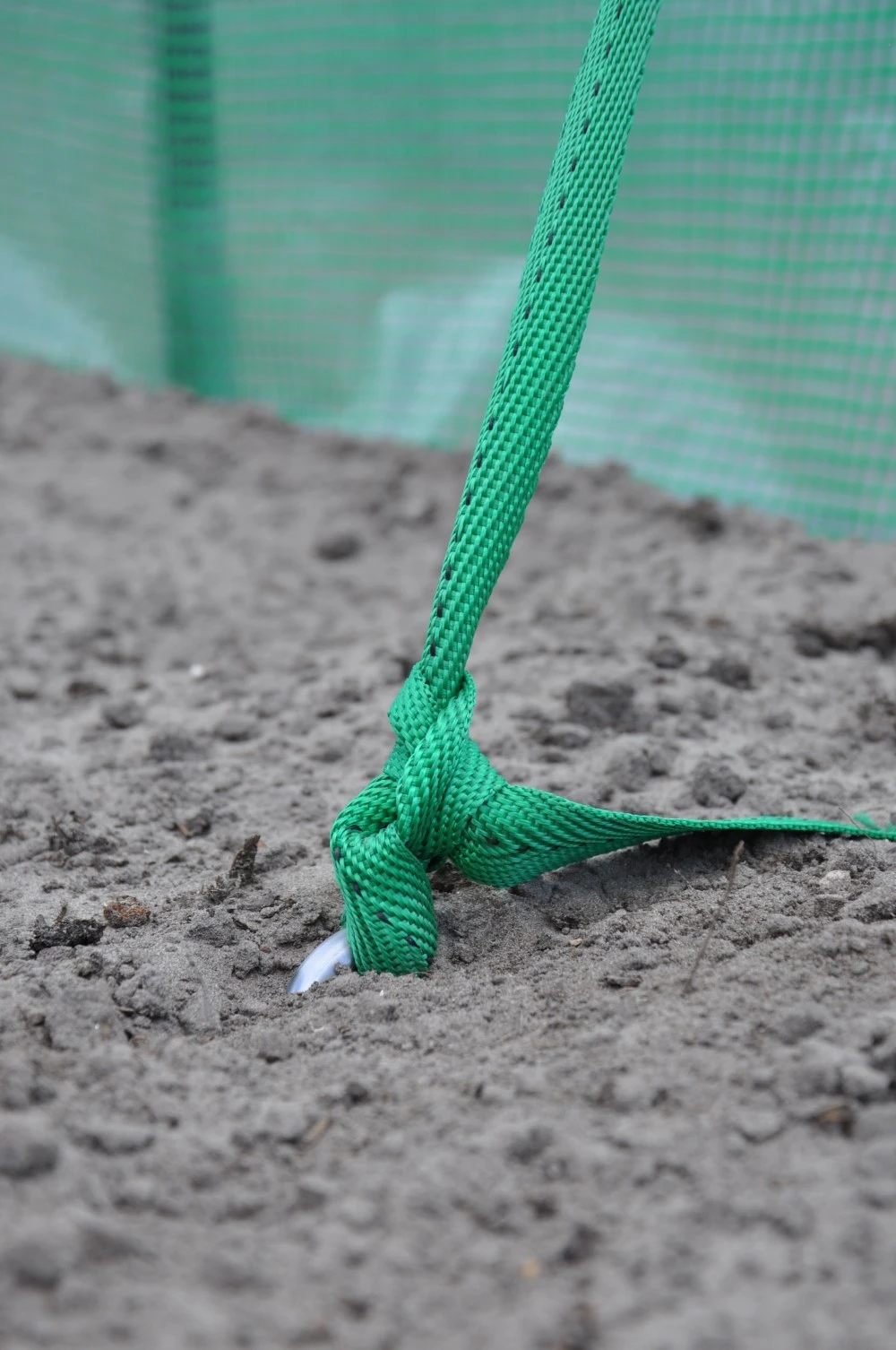 Royal Well Ankerset 5 Royal Well Ankerset - Afbeelding 5