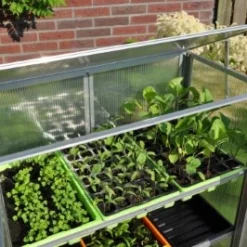 Royal Well Patiokas Grow Station 13 Royal Well Patiokas Grow Station -Bijzondere Tuin Verkoop 8718226338358 4 Aangepast