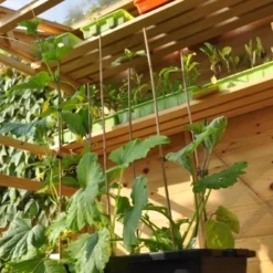 Royal Well Kweekbak / Container 40 L - 60 X 40 X 18 Cm Zwart -Bijzondere Tuin Verkoop 8718226338365 3 Aangepast