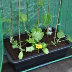 Royal Well Kweekbak / Container 40 L - 60 X 40 X 18 Cm Zwart -Bijzondere Tuin Verkoop 8718226338365 4 Aangepast