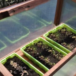 Royal Well Broeikas Red Leaf 22 Royal Well Broeikas Red Leaf -Bijzondere Tuin Verkoop 8718226339133 11 Aangepast