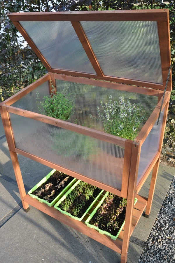 Royal Well Broeikas Red Leaf 3 Royal Well Broeikas Red Leaf - Afbeelding 3