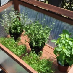 Royal Well Broeikas Red Leaf 16 Royal Well Broeikas Red Leaf -Bijzondere Tuin Verkoop 8718226339133 5 Aangepast