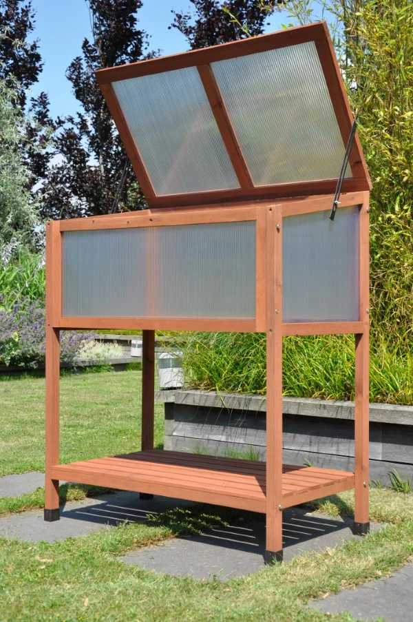 Royal Well Broeikas Red Leaf 5 Royal Well Broeikas Red Leaf - Afbeelding 5