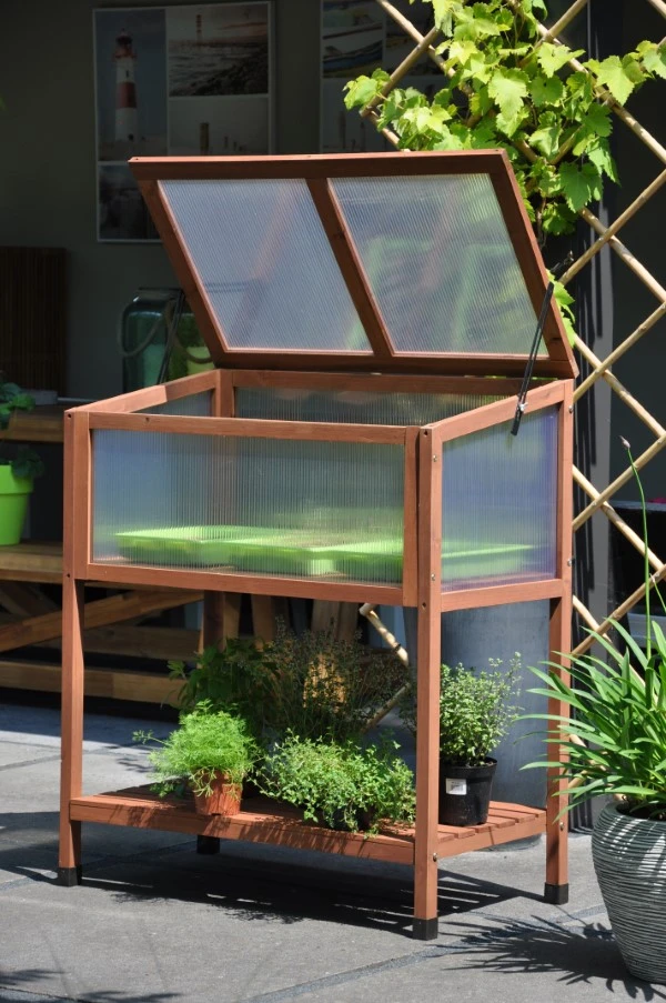 Royal Well Broeikas Red Leaf 7 Royal Well Broeikas Red Leaf - Afbeelding 7