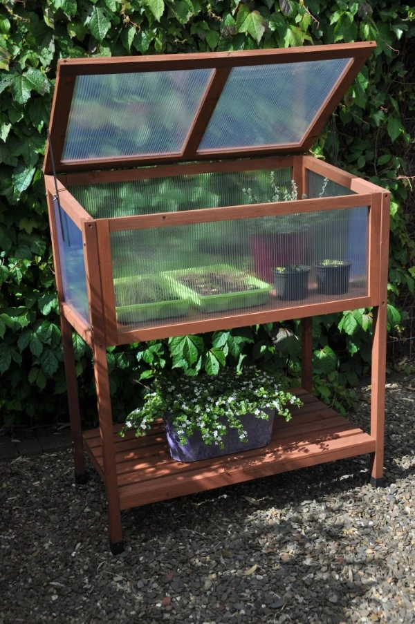 Royal Well Broeikas Red Leaf 8 Royal Well Broeikas Red Leaf - Afbeelding 8