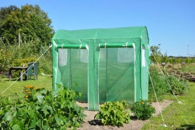Royal Well Foliekas Maxi Tomato Galva 1 Royal Well Foliekas Maxi Tomato Galva