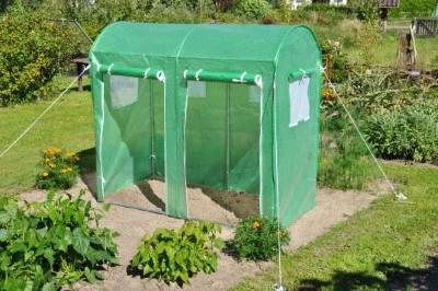 Royal Well Foliekas Maxi Tomato Galva 2 Royal Well Foliekas Maxi Tomato Galva - Afbeelding 2