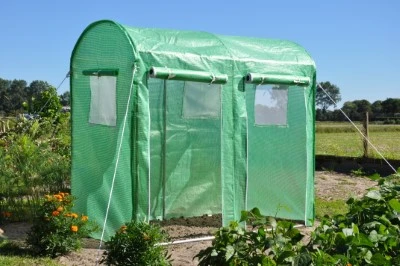 Royal Well Foliekas Maxi Tomato Galva 3 Royal Well Foliekas Maxi Tomato Galva - Afbeelding 3