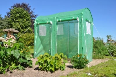 Royal Well Foliekas Maxi Tomato Galva 5 Royal Well Foliekas Maxi Tomato Galva - Afbeelding 5