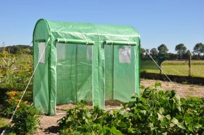 Royal Well Foliekas Maxi Tomato Galva 7 Royal Well Foliekas Maxi Tomato Galva - Afbeelding 7