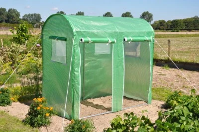 Royal Well Foliekas Maxi Tomato Galva 8 Royal Well Foliekas Maxi Tomato Galva - Afbeelding 8