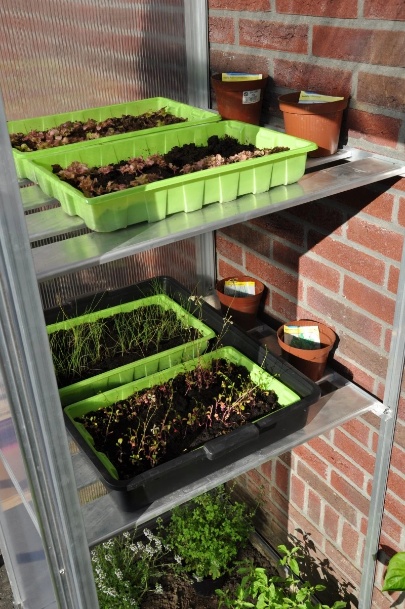 Royal Well Schappenset Mini 2 Stuks 2 Royal Well Schappenset Mini 2 Stuks - Afbeelding 2