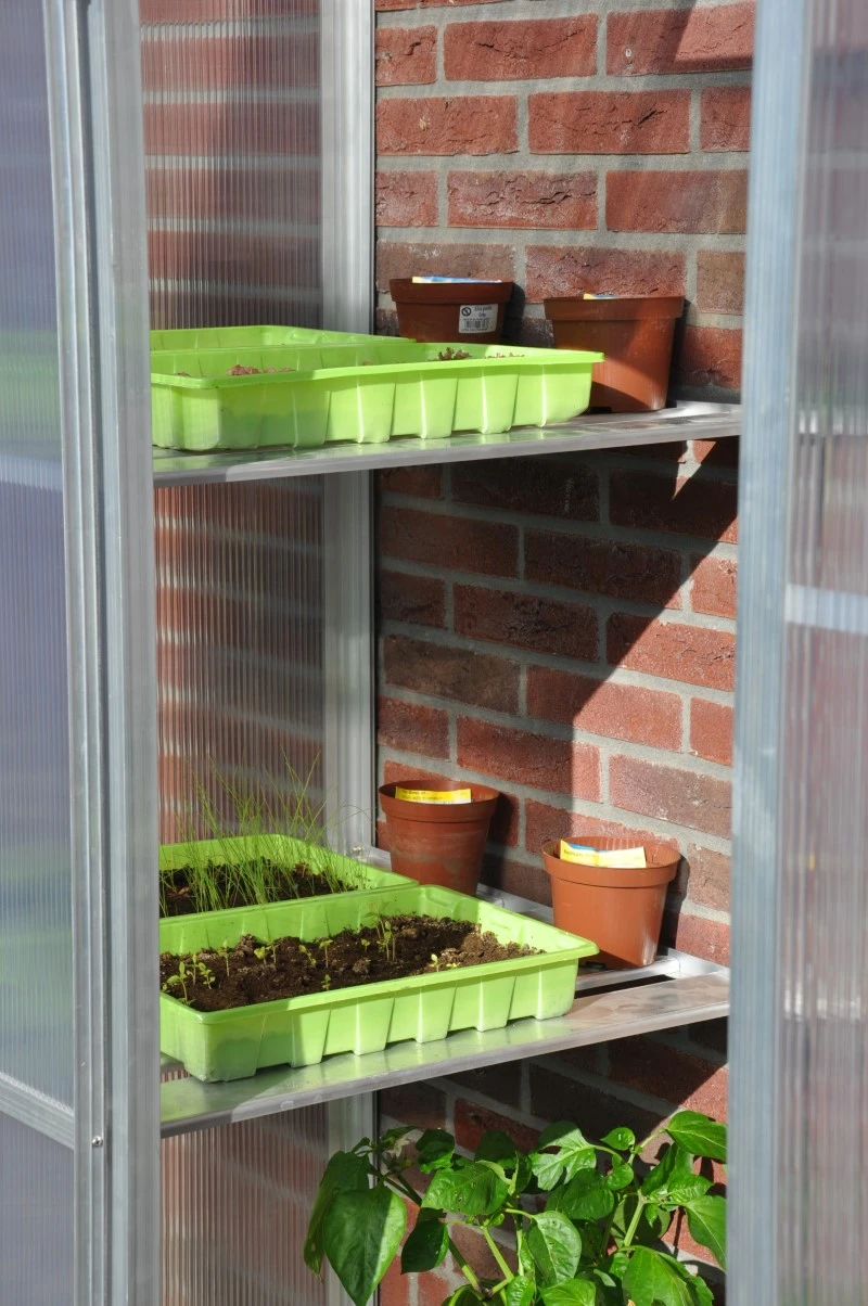 Royal Well Schappenset Mini 2 Stuks 3 Royal Well Schappenset Mini 2 Stuks - Afbeelding 3