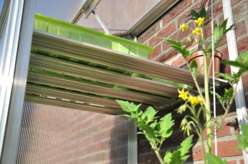 Royal Well Schappenset Mini 2 Stuks 4 Royal Well Schappenset Mini 2 Stuks - Afbeelding 4