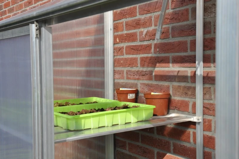 Royal Well Schappenset Mini 2 Stuks 6 Royal Well Schappenset Mini 2 Stuks - Afbeelding 6